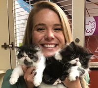 Our Vet loves Mon Chéri Kittens!