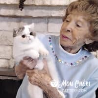 Dorothy Young with Mon Chéri Mia Exotic Shorthair Kitten