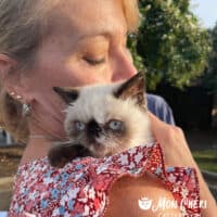 Christina J of Fredericksburg, Virginia with Colorpoint Exotic Shorthair Kitten